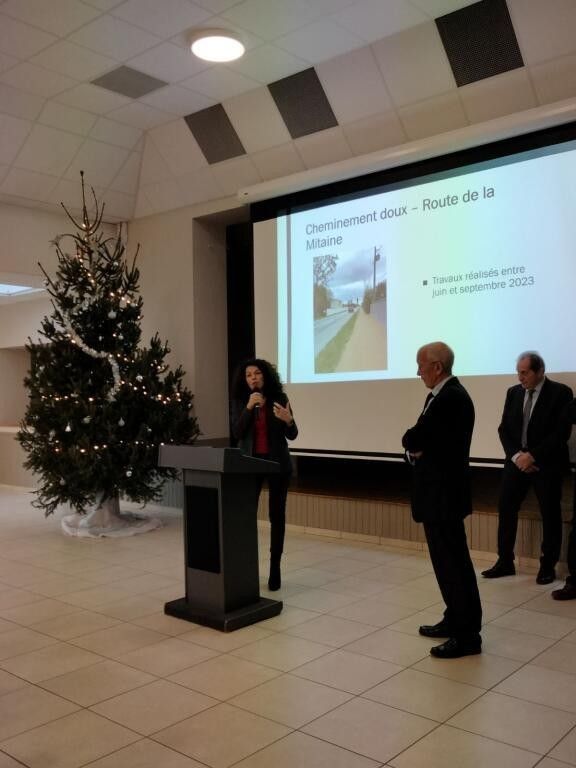 La sénatrice BLATRIX CONTAT