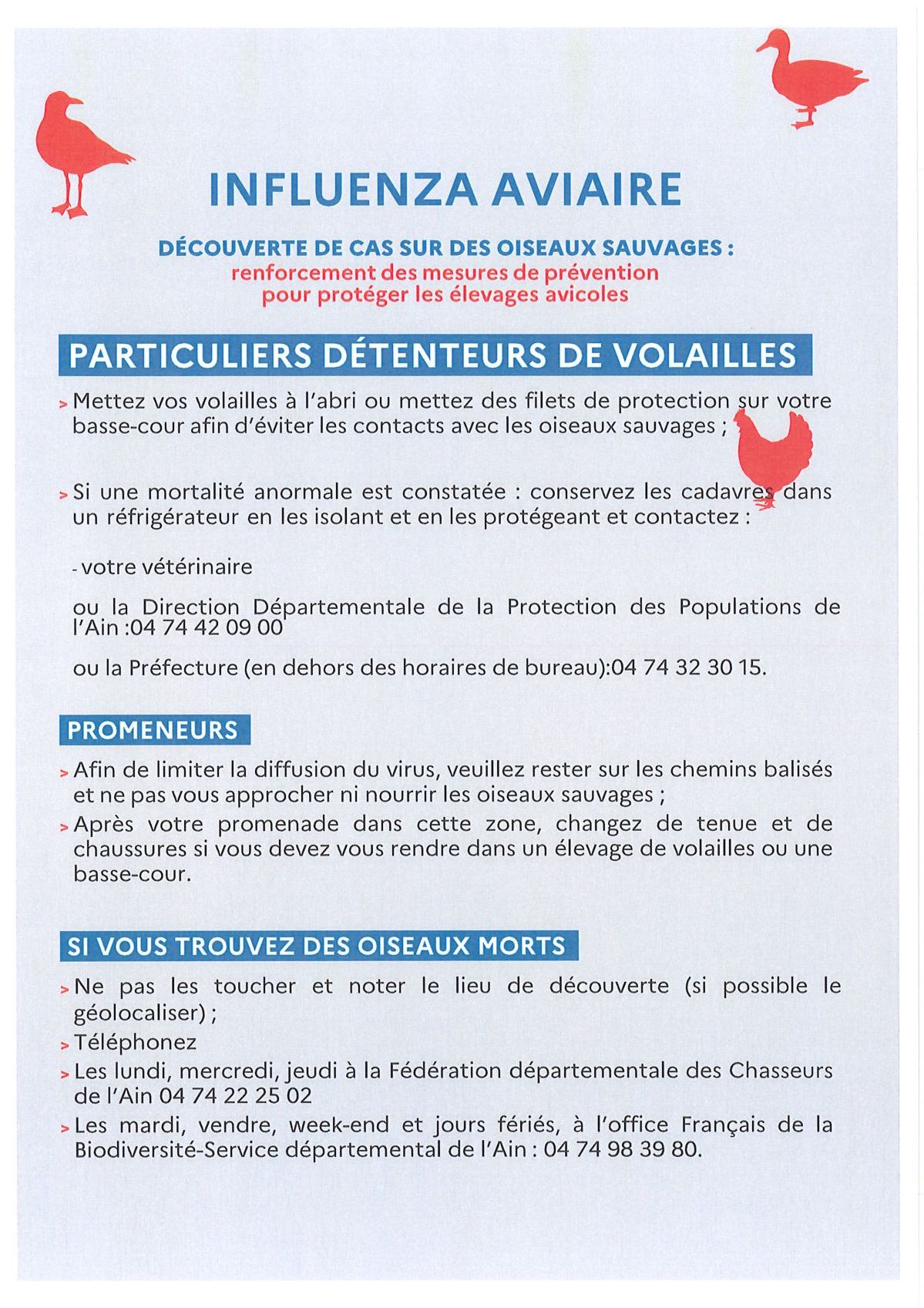 Consignes aux détenteurs de volailles, et promeneurs