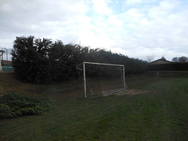 Haie du tennis après
