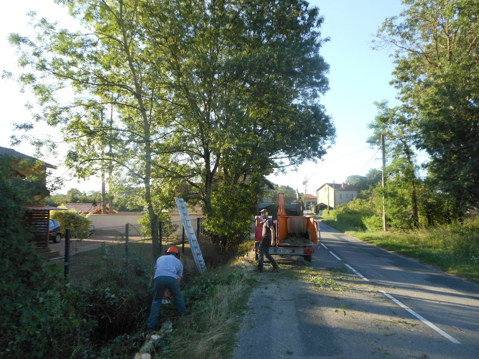 Elagage route de Chatillon aout 2018