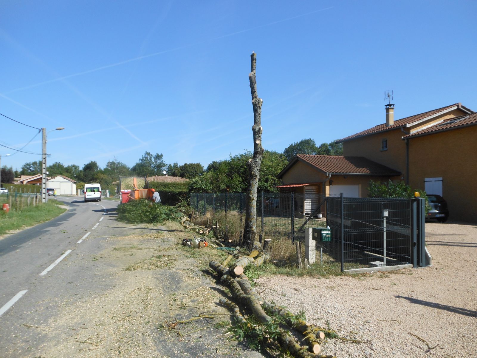 Elagage : travail presque terminé