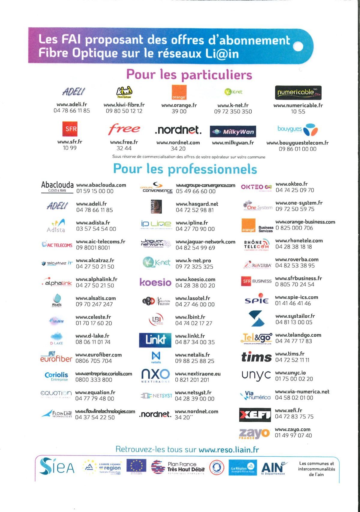 Fournisseurs d'Accès à Internet (FAI)