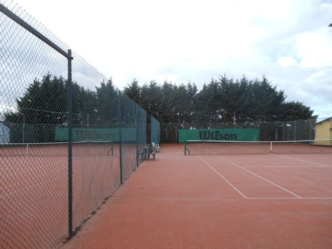 Haie du tennis avant